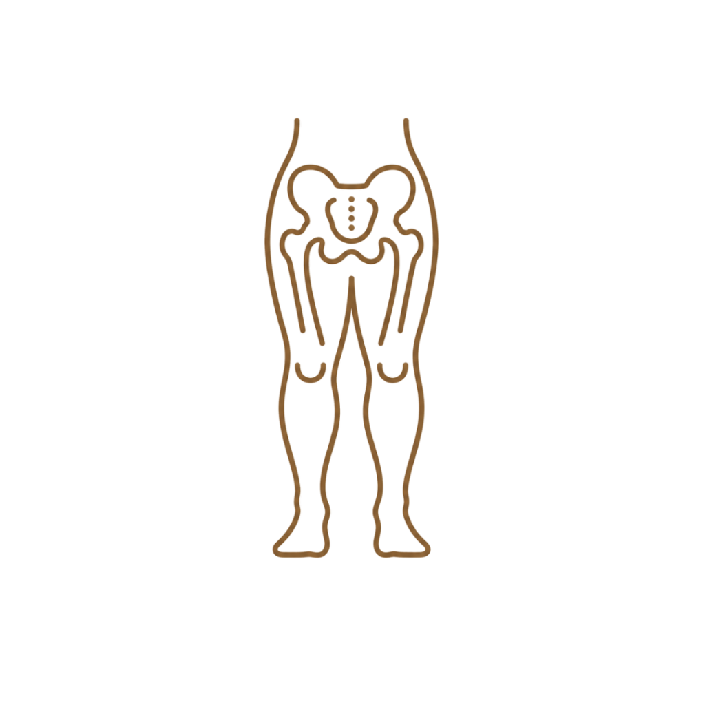 Lower Body
