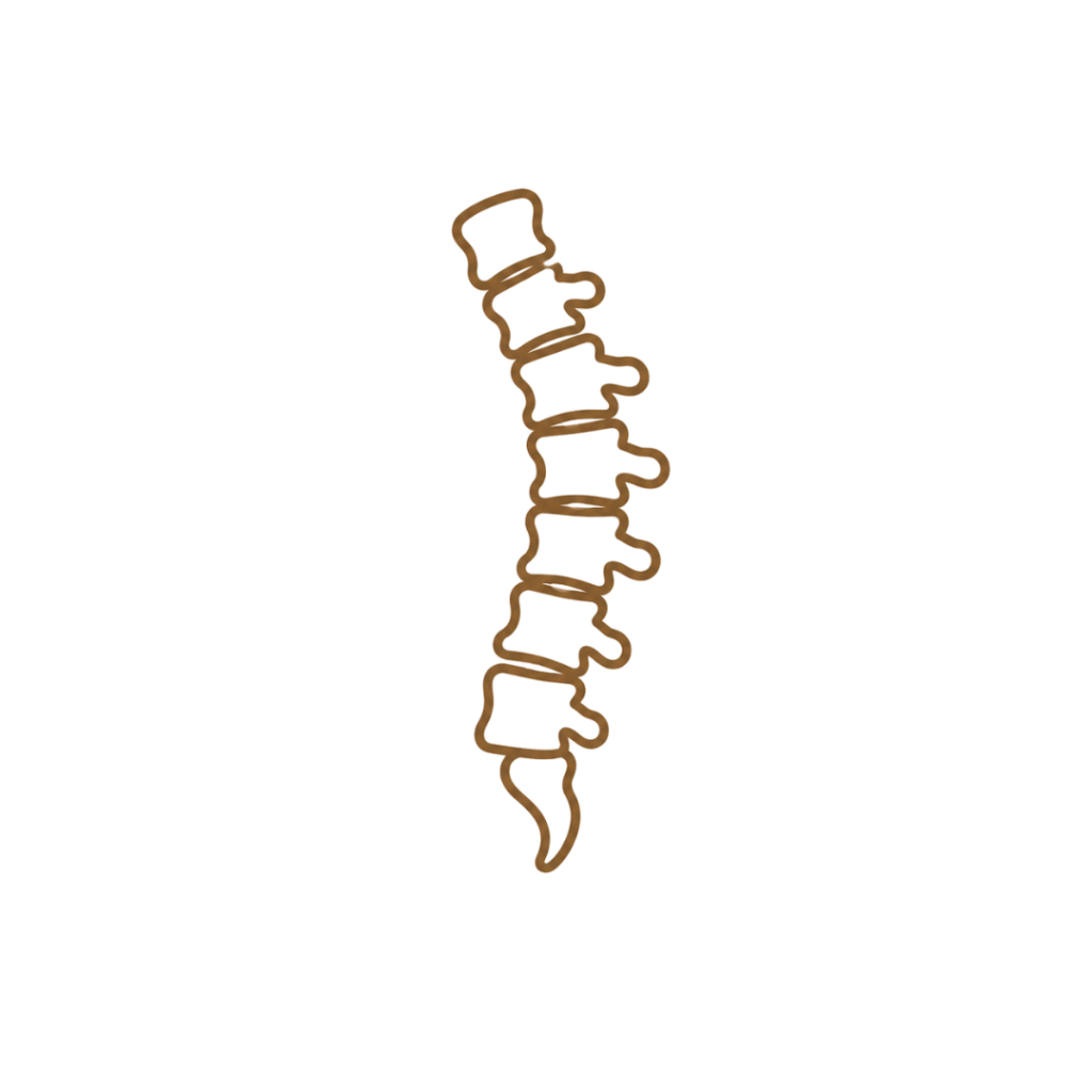 spine & back